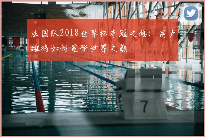 法国队2018世界杯夺冠之路：高卢雄鸡如何重登世界之巅