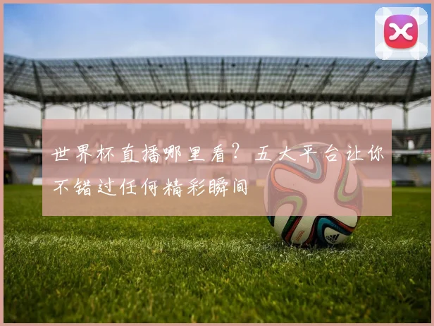 世界杯直播哪里看?五大平台让你不错过任何精彩瞬间