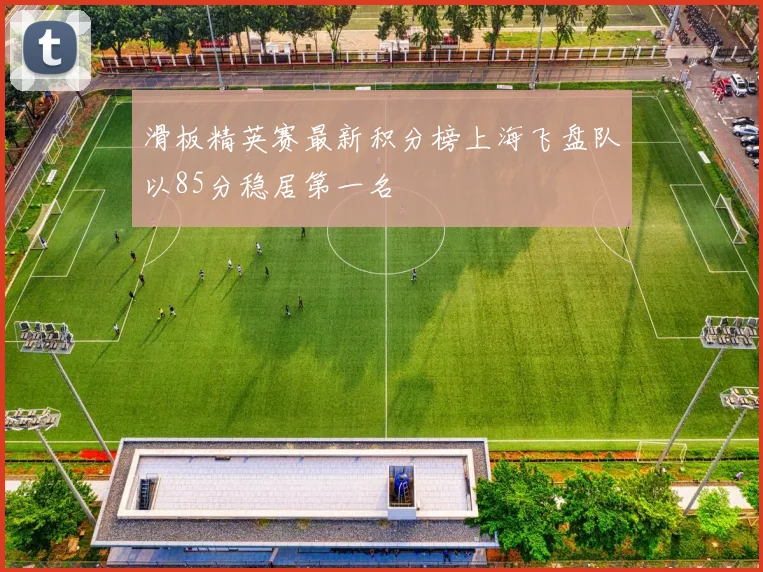 滑板精英赛最新积分榜上海飞盘队以85分稳居第一名