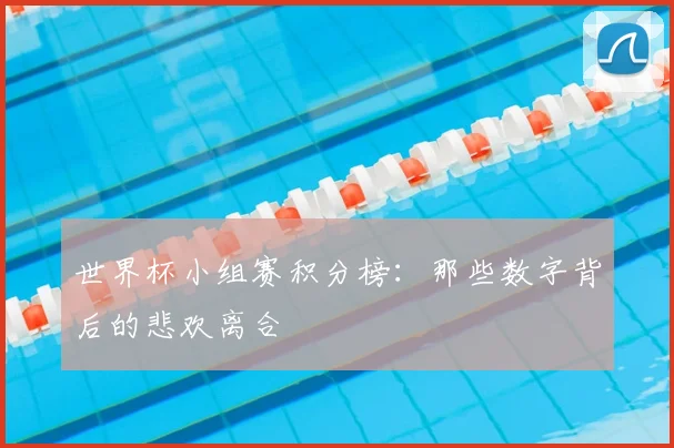 世界杯小组赛积分榜：那些数字背后的悲欢离合
