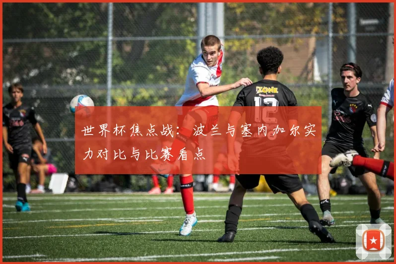 世界杯焦点战：波兰与塞内加尔实力对比与比赛看点