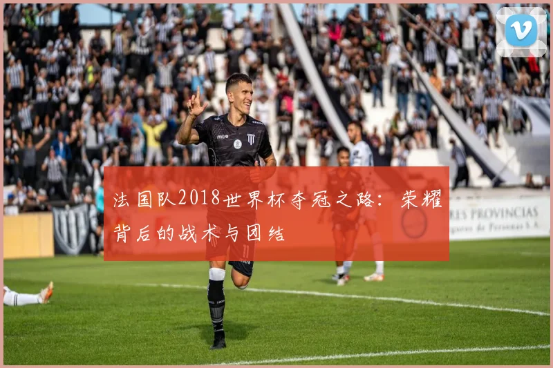 法国队2018世界杯夺冠之路：荣耀背后的战术与团结