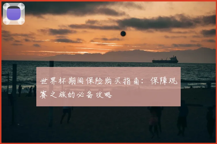 世界杯期间保险购买指南：保障观赛之旅的必备攻略