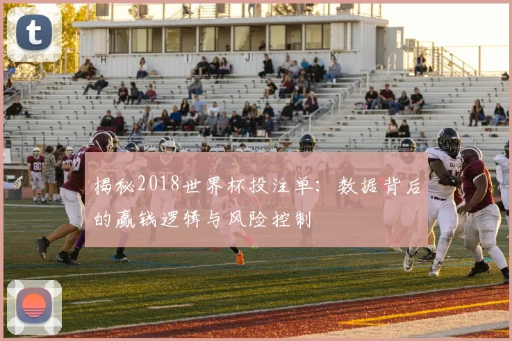 揭秘2018世界杯投注单：数据背后的赢钱逻辑与风险控制