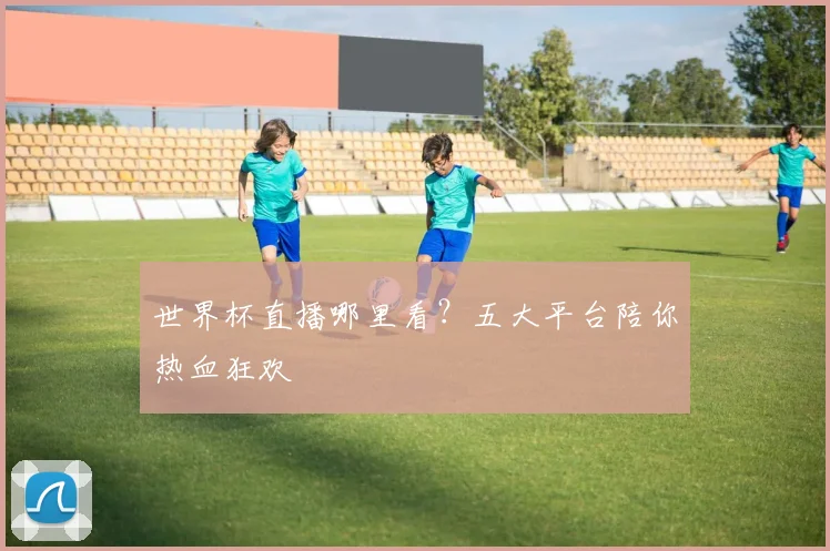 世界杯直播哪里看?五大平台陪你热血狂欢