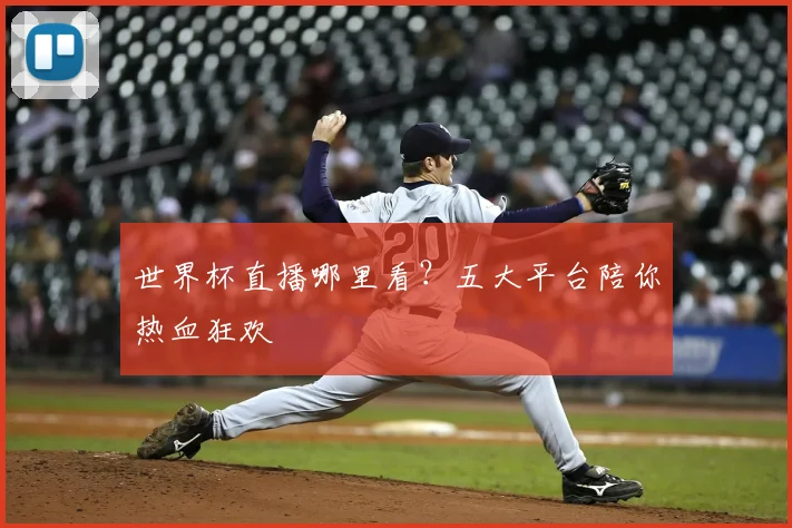 世界杯直播哪里看？五大平台陪你热血狂欢